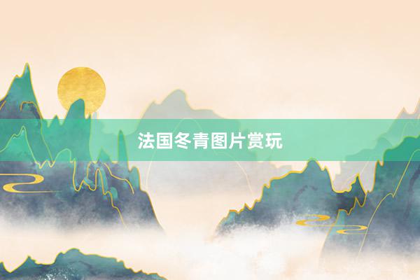 法国冬青图片赏玩